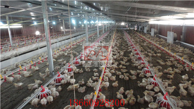 �B(y��ng)���O(sh��)��-�Ͼ�