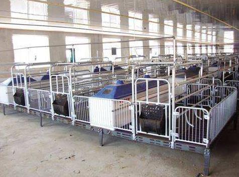 ��Щ���ؕ���(d��o)�����i�����w��������