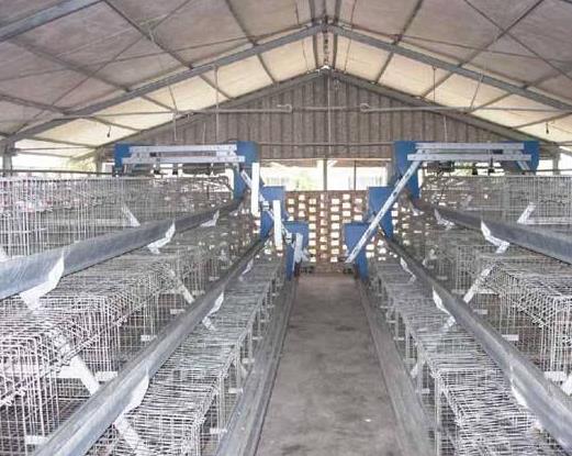 �S���ǂ�(g��)����ǧ�f�����S�����M(f��i)��