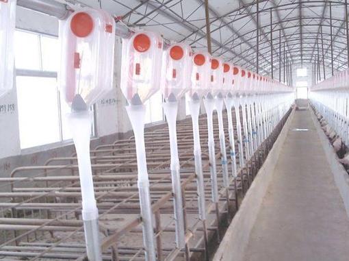 ���C�i�O(sh��)��ĭh(hu��n)�������Ƿǳ���Ҫ��